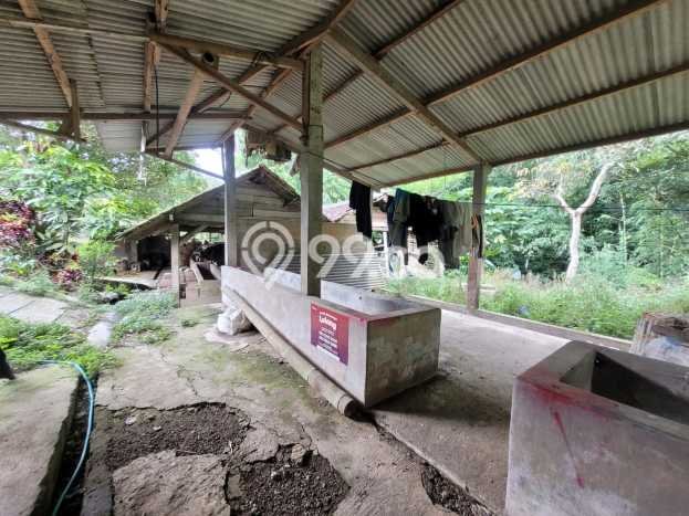 Tanah Kavling untuk Dijual di Bumiaji Batu 184m2 Tanah Kavling untuk Dijual di Bumiaji Batu 184m2