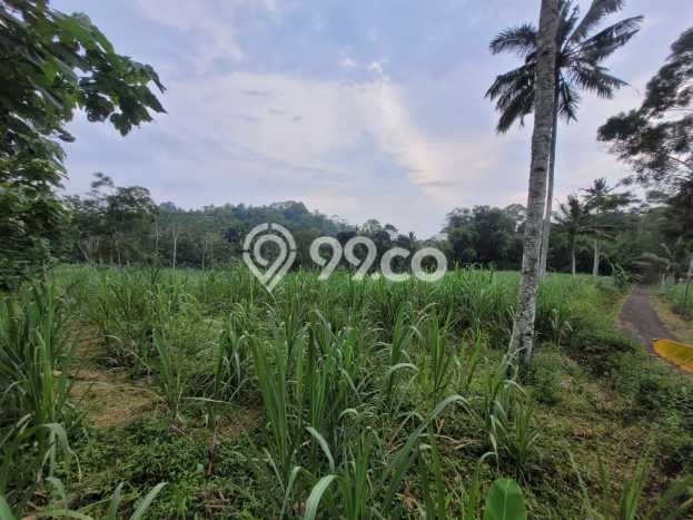 Tanah untuk Dijual Lokasi Gedangan, Malang Luas 7505m2 SHM Tanah untuk Dijual Lokasi Gedangan, Malang Luas 7505m2 SHM