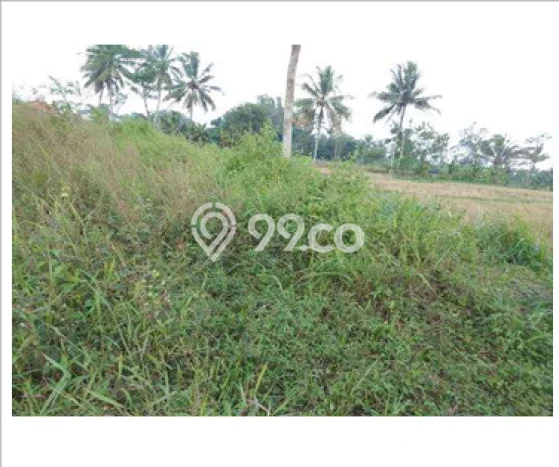 Lahan Dijual Lokasi Sawangan, Magelang dengan Luas Tanah 8745m2 dan Status SHM Lahan Dijual Lokasi Sawangan, Magelang dengan Luas Tanah 8745m2 dan Status SHM