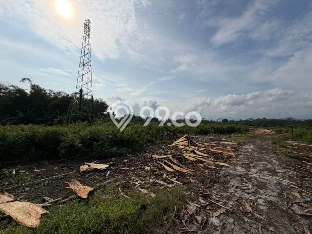 Tanah Dijual Lokasi Tempuran, Magelang dengan Luas Tanah 34730m2 dan Status SHM Tanah Dijual Lokasi Tempuran, Magelang dengan Luas Tanah 34730m2 dan Status SHM