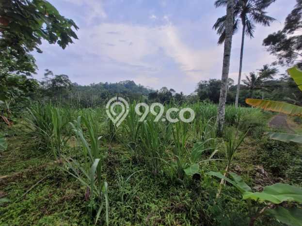 Tanah untuk Dijual Lokasi Gedangan, Malang Luas 7505m2 SHM Tanah untuk Dijual Lokasi Gedangan, Malang Luas 7505m2 SHM