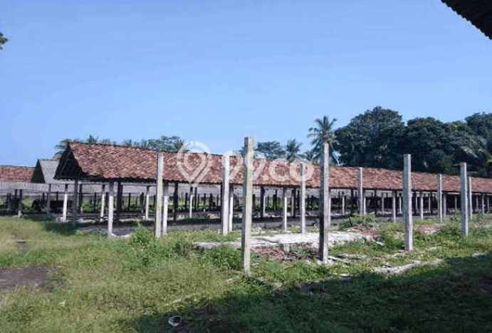 Unit Gudang Dijual di Srumbung Magelang Luas Bangunan 1958m2 Unit Gudang Dijual di Srumbung Magelang Luas Bangunan 1958m2