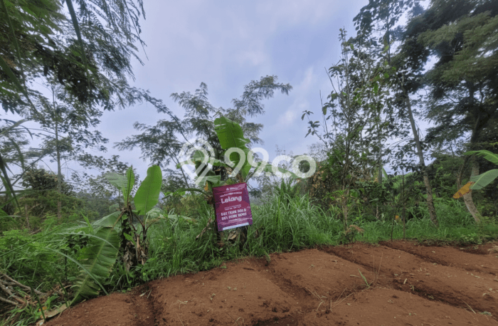 Lahan untuk Dijual di Junrejo Batu Luas 1565m2 Lahan untuk Dijual di Junrejo Batu Luas 1565m2