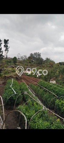 Untuk Dijual Tanah di Malang, Luas 10000m2 SHM Untuk Dijual Tanah di Malang, Luas 10000m2 SHM