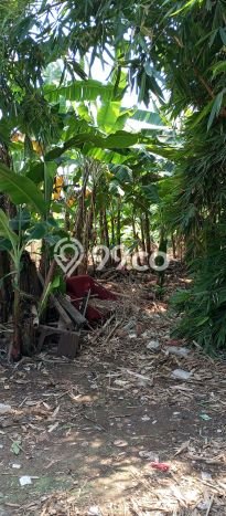 Kavling Tanah Dijual di Ancol Jakarta Utara Spesifikasi 360m2 Kavling Tanah Dijual di Ancol Jakarta Utara Spesifikasi 360m2