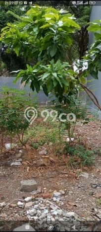 Tanah Kavling Dijual di Jakarta Timur dengan Spesifikasi 405m2 Tanah Kavling Dijual di Jakarta Timur dengan Spesifikasi 405m2