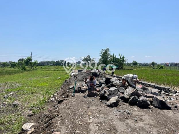 Lahan untuk Dijual Lokasi Mlati, Sleman Luas 112m2 SHM Lahan untuk Dijual Lokasi Mlati, Sleman Luas 112m2 SHM
