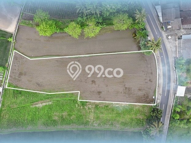 Kavling Tanah di Ngemplak Dijual Luas 226m2 Legalitas SHM Kavling Tanah di Ngemplak Dijual Luas 226m2 Legalitas SHM