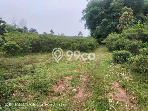 Tanah Dijual Lokasi Cariu, Bogor dengan Luas Tanah 91145m2 dan Status SHM Tanah Dijual Lokasi Cariu, Bogor dengan Luas Tanah 91145m2 dan Status SHM