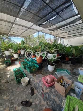 Best Deal Hunian Mewah Ideal dan Luas di Sukajadi, Bandung Best Deal Hunian Mewah Ideal dan Luas di Sukajadi, Bandung