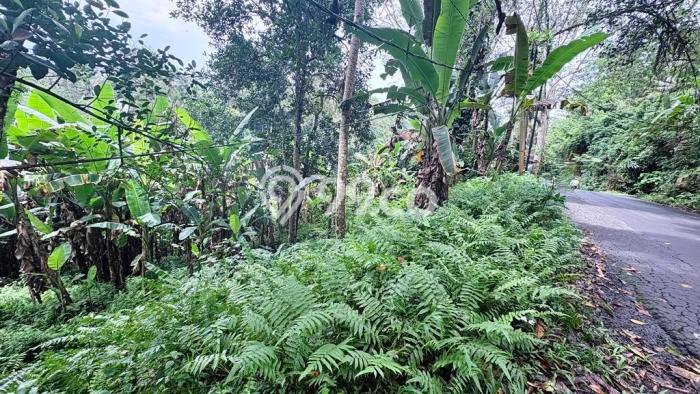 Tanah Kavling di Ubud Gianyar Disewakan dengan Luas 1330m2 Tanah Kavling di Ubud Gianyar Disewakan dengan Luas 1330m2