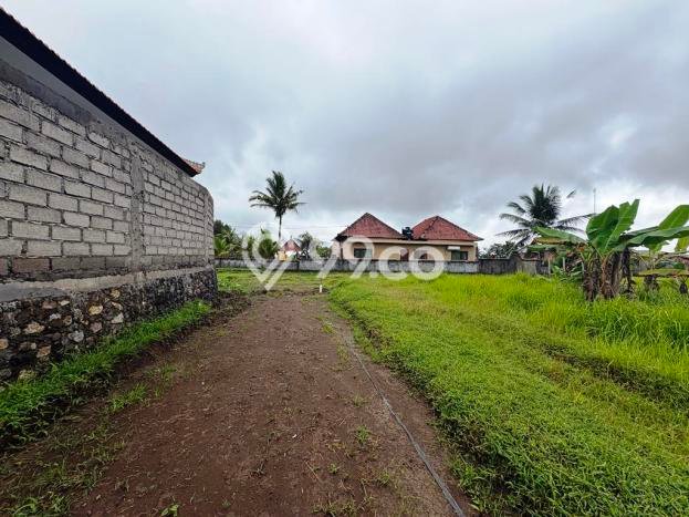 Tanah Kavling untuk Dijual di Tampaksiring Gianyar 3000m2 Tanah Kavling untuk Dijual di Tampaksiring Gianyar 3000m2