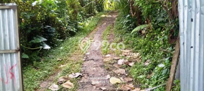 Paling Dicari! Lahan Kosong Disewakan di Ubud, Gianyar Paling Dicari! Lahan Kosong Disewakan di Ubud, Gianyar