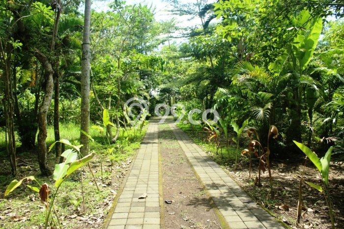 Tanah Dijual di Tabanan Seluas 8600m2 Strategis Tanah Dijual di Tabanan Seluas 8600m2 Strategis