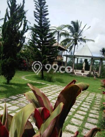 Dijual Tanah di Tegallalang Gianyar Luas 43600m2 SHM Dijual Tanah di Tegallalang Gianyar Luas 43600m2 SHM