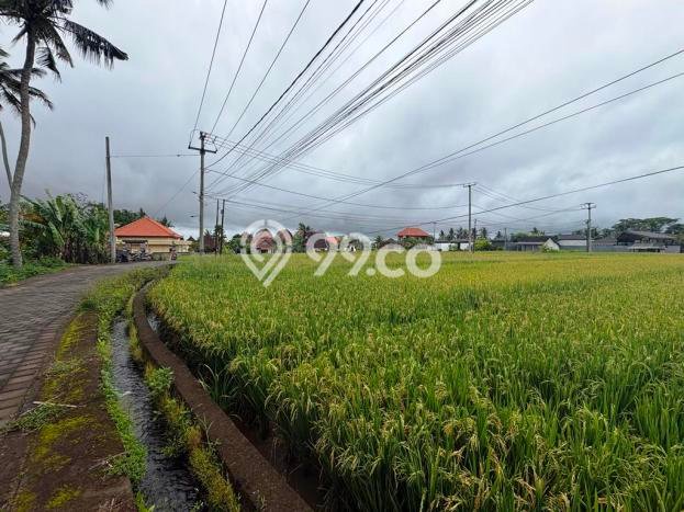 Lahan Dijual Lokasi Tampaksiring, Gianyar dengan Luas Tanah 3700m2 dan Status SHM Lahan Dijual Lokasi Tampaksiring, Gianyar dengan Luas Tanah 3700m2 dan Status SHM