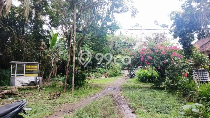 Tanah Kavling untuk Disewa di Payangan Gianyar 2420m2 Tanah Kavling untuk Disewa di Payangan Gianyar 2420m2