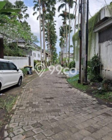 Tanah Kavling untuk Disewa di Ubud Gianyar 3000m2 Tanah Kavling untuk Disewa di Ubud Gianyar 3000m2