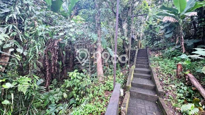 Tanah Kavling di Ubud Gianyar Disewakan dengan Luas 1330m2 Tanah Kavling di Ubud Gianyar Disewakan dengan Luas 1330m2