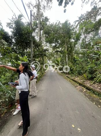 Tanah Disewa di Kelusa Strategis dan Memiliki Luas 700m2 Tanah Disewa di Kelusa Strategis dan Memiliki Luas 700m2