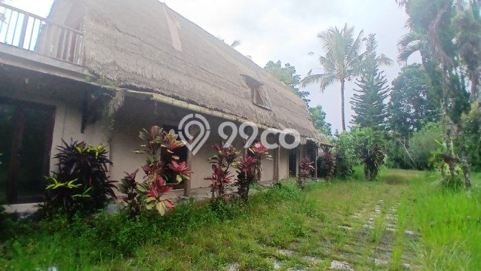 Dijual Tanah di Tegallalang Gianyar Luas 43600m2 SHM Dijual Tanah di Tegallalang Gianyar Luas 43600m2 SHM