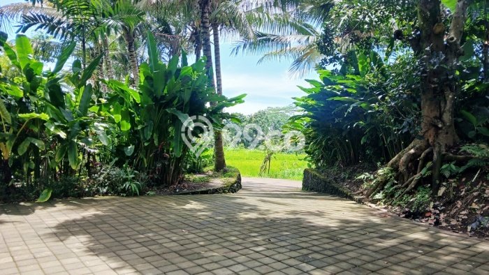 Tanah Dijual di Tabanan Seluas 8600m2 Strategis Tanah Dijual di Tabanan Seluas 8600m2 Strategis