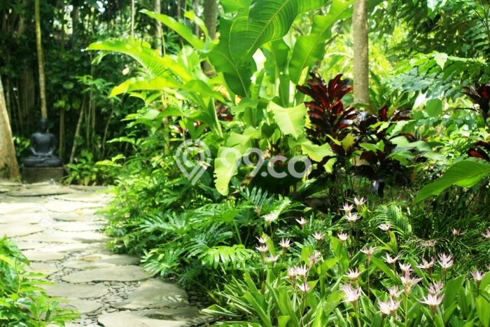 Tanah Dijual di Tabanan Seluas 8600m2 Strategis Tanah Dijual di Tabanan Seluas 8600m2 Strategis
