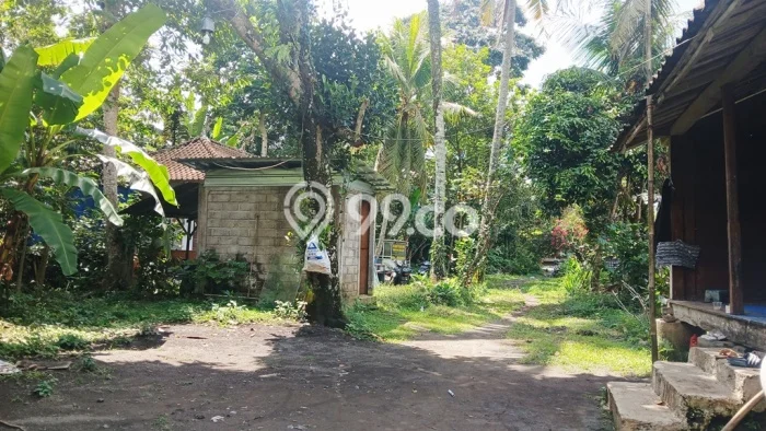 Tanah Kavling untuk Disewa di Payangan Gianyar 2420m2 Tanah Kavling untuk Disewa di Payangan Gianyar 2420m2