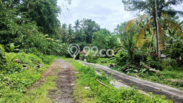 Paling Dicari! Lahan Kosong Disewakan di Ubud, Gianyar Paling Dicari! Lahan Kosong Disewakan di Ubud, Gianyar