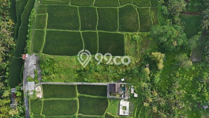 Tanah Kavling untuk Disewa di Tegallalang Gianyar 4910m2 Tanah Kavling untuk Disewa di Tegallalang Gianyar 4910m2