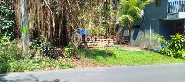 Lahan Strategis di Ubud Gianyar Disewakan dengan Luas 5790m2 Lahan Strategis di Ubud Gianyar Disewakan dengan Luas 5790m2