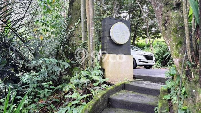 Tanah Kavling di Ubud Gianyar Disewakan dengan Luas 1330m2 Tanah Kavling di Ubud Gianyar Disewakan dengan Luas 1330m2