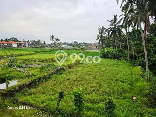 Tanah Dijual Lokasi Ubud Gianyar SHM Tanah Dijual Lokasi Ubud Gianyar SHM