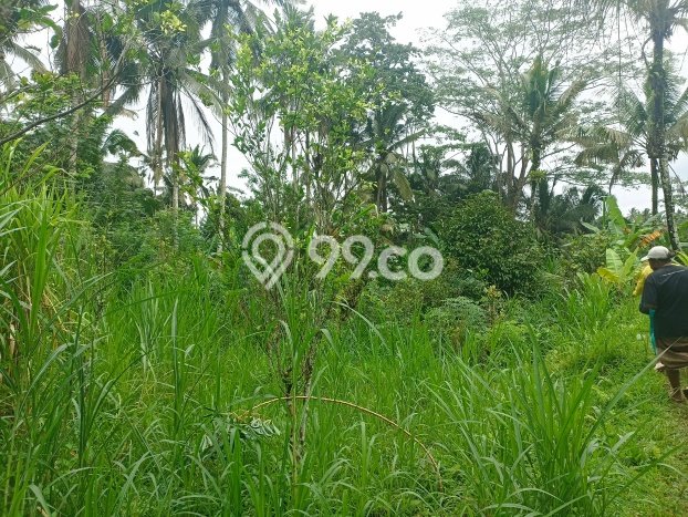 Lahan Investasi Lokasi Ubud Gianyar Hak Sewa Lahan Investasi Lokasi Ubud Gianyar Hak Sewa