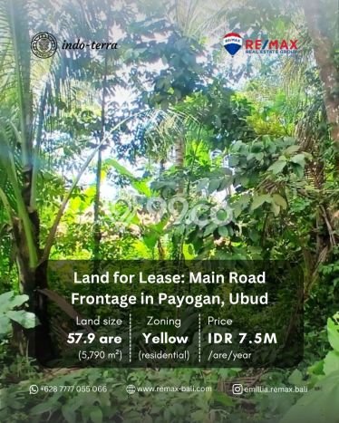 Lahan Strategis di Ubud Gianyar Disewakan dengan Luas 5790m2 Lahan Strategis di Ubud Gianyar Disewakan dengan Luas 5790m2