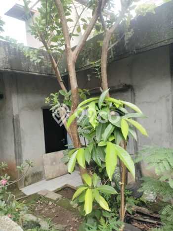 For Sale Rumah 2 Kamar Lokasi Strategis Bagus dan Strategis di Cimanggis For Sale Rumah 2 Kamar Lokasi Strategis Bagus dan Strategis di Cimanggis