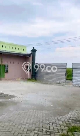 Gudang Dijual Lokasi Stratagis di Ngantru Tulungagung Cocok untuk Investasi Gudang Dijual Lokasi Stratagis di Ngantru Tulungagung Cocok untuk Investasi