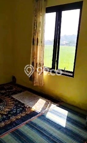 Jual Rumah Bagus Siap Huni LB 200m2 di Singosari, Malang Jual Rumah Bagus Siap Huni LB 200m2 di Singosari, Malang