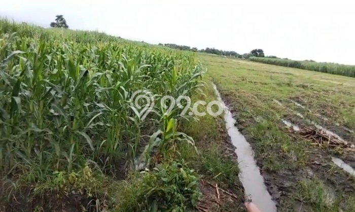 Lahan Strategis di Kandangan Dijual dengan Luas 2006m2 Lahan Strategis di Kandangan Dijual dengan Luas 2006m2