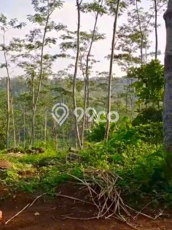 Tanah Kavling di Wonosalam Dijual dengan Luas 40m2 Tanah Kavling di Wonosalam Dijual dengan Luas 40m2