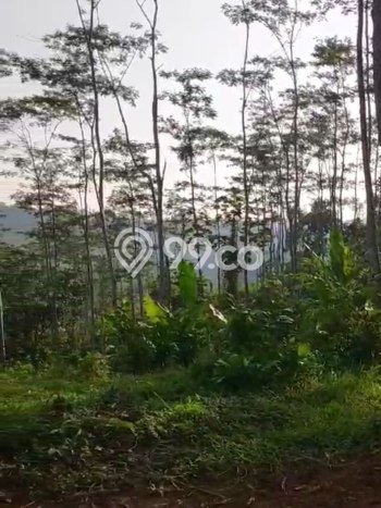 Tanah Kavling di Wonosalam Dijual dengan Luas 40m2 Tanah Kavling di Wonosalam Dijual dengan Luas 40m2