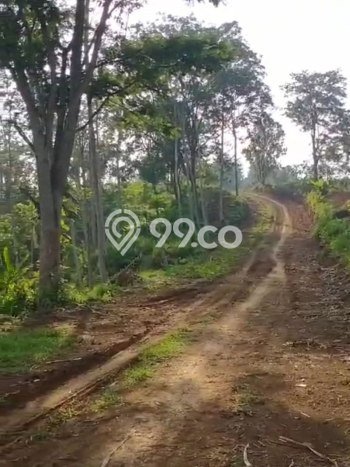 Tanah Kavling di Wonosalam Dijual dengan Luas 40m2 Tanah Kavling di Wonosalam Dijual dengan Luas 40m2