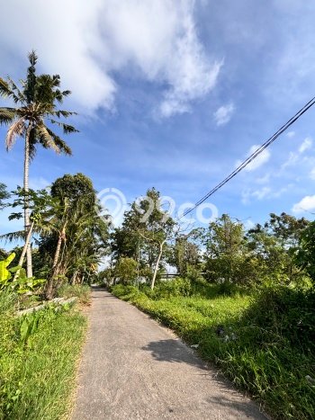 Jarang Ada! Tanah di Ngemplak Punya Luas 4900m2 SHM Jarang Ada! Tanah di Ngemplak Punya Luas 4900m2 SHM