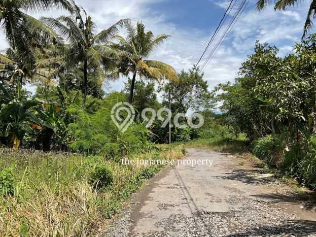 Kavling Tanah di Ngaglik Dijual Luas 968m2 Legalitas SHM Kavling Tanah di Ngaglik Dijual Luas 968m2 Legalitas SHM