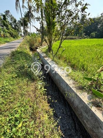 Jarang Ada! Tanah di Ngemplak Punya Luas 1695m2 SHM Jarang Ada! Tanah di Ngemplak Punya Luas 1695m2 SHM