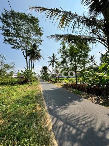 Jarang Ada! Tanah di Ngemplak Punya Luas 1600m2 SHM Jarang Ada! Tanah di Ngemplak Punya Luas 1600m2 SHM