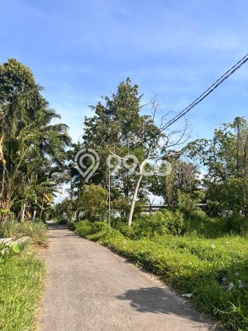 Jarang Ada! Tanah di Ngemplak Punya Luas 4900m2 SHM Jarang Ada! Tanah di Ngemplak Punya Luas 4900m2 SHM