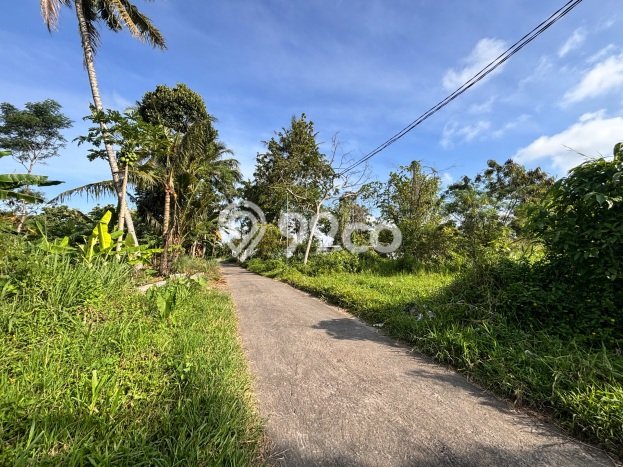 Jarang Ada! Tanah di Ngemplak Punya Luas 4900m2 SHM Jarang Ada! Tanah di Ngemplak Punya Luas 4900m2 SHM