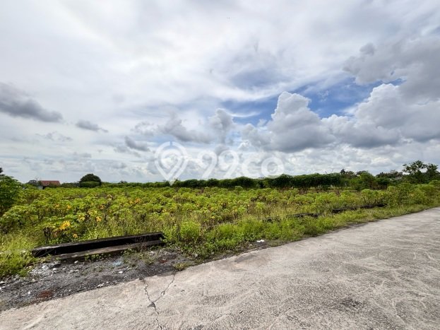 Tanah Strategis Dijual di Ngemplak Sleman 3919m2 Tanah Strategis Dijual di Ngemplak Sleman 3919m2