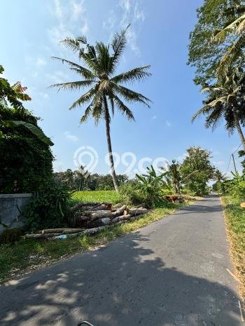 Jarang Ada! Tanah di Ngemplak Punya Luas 1600m2 SHM Jarang Ada! Tanah di Ngemplak Punya Luas 1600m2 SHM